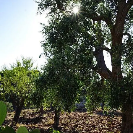 Сasa de vacaciones Trulli Del Massaro Grande