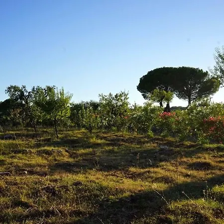 Trulli Del Massaro Grande